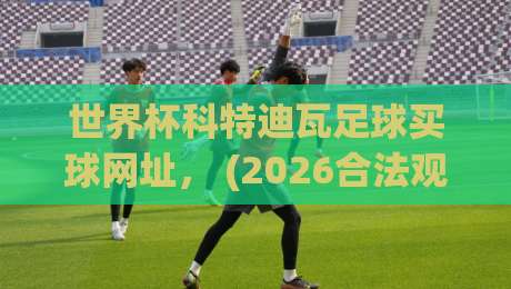 世界杯科特迪瓦足球买球网址， (2026合法观赛与竞猜平台指南)