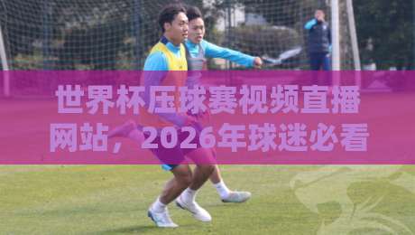 世界杯压球赛视频直播网站，2026年球迷必看的五大理由！（世界杯压球赛视频直播网站）