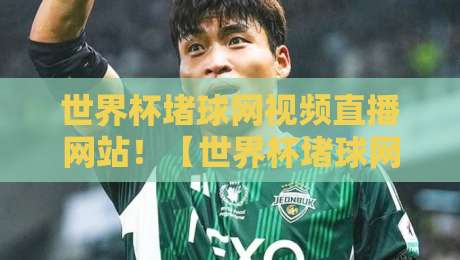 世界杯堵球网视频直播网站！【世界杯堵球网视频直播网站】怎么选？2026球迷必看避坑指南