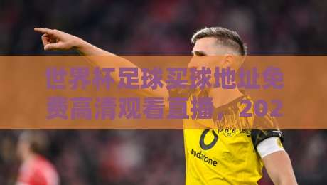 世界杯足球买球地址免费高清观看直播，2026年世界杯观赛指南来了！