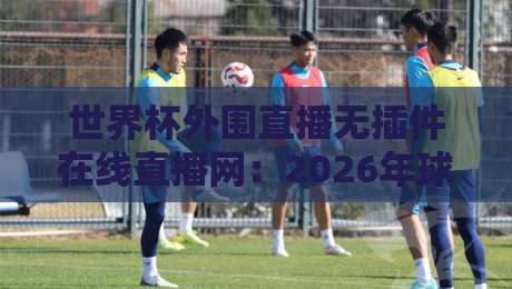 世界杯外围直播无插件在线直播网：2026年球迷必备的五大观赛神器