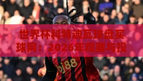 世界杯科特迪瓦球盘买球网：2026年观赛与投注的实战指南