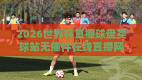2026世界杯直播球盘买球站无插件在线直播网，讲真！这届看球得这么搞