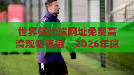 世界杯比球网址免费高清观看直播，2026年球迷必备观赛指南！