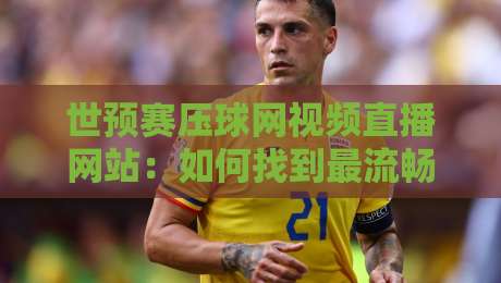 世预赛压球网视频直播网站：如何找到最流畅的直播源？
