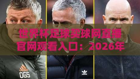 世界杯足球买球网直播官网观看入口：2026年观赛指南，别走弯路
