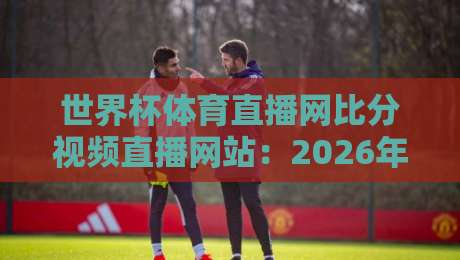 世界杯体育直播网比分视频直播网站：2026年看球神器实测与避坑指南