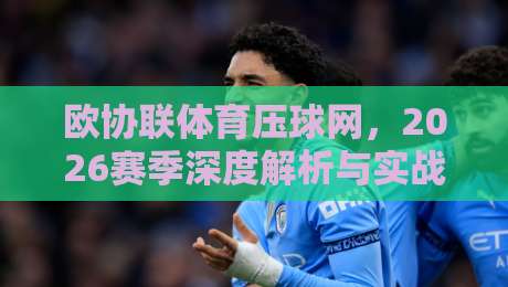 欧协联体育压球网，2026赛季深度解析与实战指南