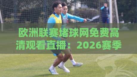 欧洲联赛堵球网免费高清观看直播：2026赛季掌上观赛全攻略与避坑指南