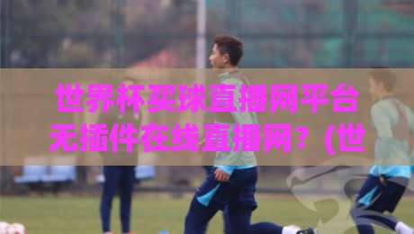 世界杯买球直播网平台无插件在线直播网？(世界杯买球直播网平台) 2026观赛新姿势，你get了吗？