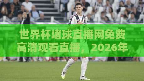 世界杯堵球直播网免费高清观看直播,2026年球迷必备的观赛攻略(世界杯堵球直播网) 世界杯堵球直播网免费高清观看直播,2026年球迷必备的观赛攻略(世界杯堵球直播网)