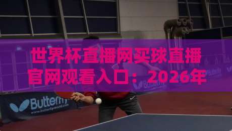世界杯直播网买球直播官网观看入口：2026年（世界杯直播）最新观赛指南