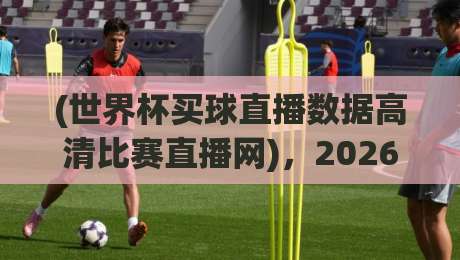 (世界杯买球直播数据高清比赛直播网)，2026年看球新姿势：高清数据一网打尽