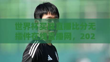 世界杯买球直播比分无插件在线直播网,2026年球迷必备的观赛神器! 世界杯买球直播比分无插件在线直播网,2026年球迷必备的观赛神器!