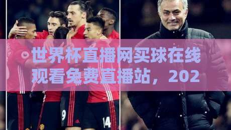 世界杯直播网买球在线观看免费直播站，2026年球迷的真实体验分享