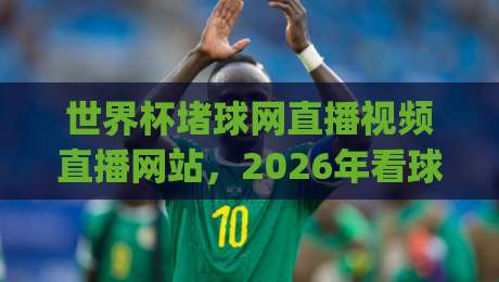 世界杯堵球网直播视频直播网站，2026年看球新姿势你get了吗？