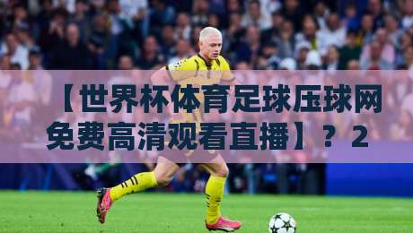【世界杯体育足球压球网免费高清观看直播】？2026观赛指南来喽！