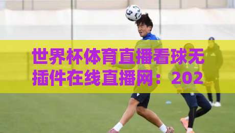 世界杯体育直播看球无插件在线直播网：2026年观赛新选择，零插件畅享高清赛事