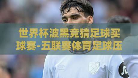 世界杯波黑竞猜足球买球赛-五联赛体育足球压球赛，2026年球迷必看攻略【世界杯波黑竞猜】