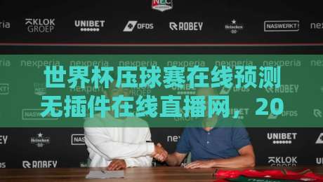 世界杯压球赛在线预测无插件在线直播网，2026年球迷必备的高效观赛指南