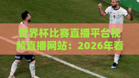 世界杯比赛直播平台视频直播网站:2026年看球必备指南! 世界杯比赛直播平台视频直播网站:2026年看球必备指南!