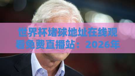 世界杯堵球地址在线观看免费直播站：2026年观赛党必收的5个靠谱入口