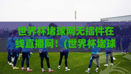世界杯堵球网无插件在线直播网!(世界杯堵球网)如何让你免费畅享2026世界杯? 世界杯堵球网无插件在线直播网!(世界杯堵球网)如何让你免费畅享2026世界杯?