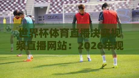 世界杯体育直播决赛视频直播网站：2026年观赛终极指南与避坑手册