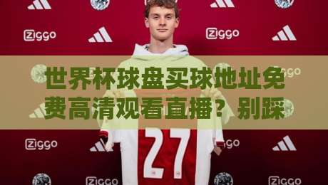 世界杯球盘买球地址免费高清观看直播？别踩坑！2026年看球正确打开方式