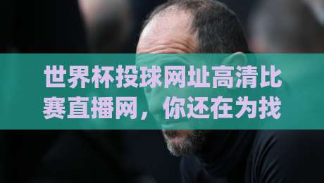 世界杯投球网址高清比赛直播网，你还在为找(世界杯投球网址高清比赛直播网)发愁？2026观赛指南来了！