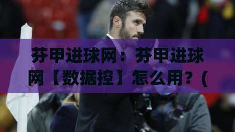 芬甲进球网:芬甲进球网【数据控】怎么用?(芬甲进球网)拆解芬兰足球进攻脉络与实战看点|最大权威网页让球网官网无插件低调看冠军走盘单双盘