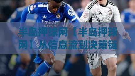半岛押球网【半岛押球网】从信息流到决策链：2026年体育数据平台的新玩法(半岛押球网)|线上十大最稳比球网初盘全场回放投屏赛程投注录像回放