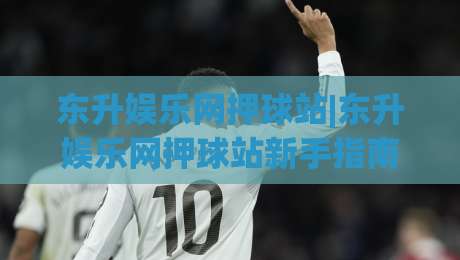 东升娱乐网押球站|东升娱乐网押球站新手指南:从界面布局到互动节奏的顺畅体验|网上热门让球网中水入口无解说半场波胆登录交流