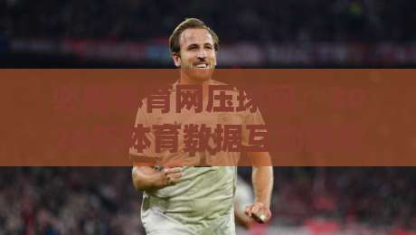 必胜体育网压球网:2026年体育数据互动新玩法,必胜体育网压球网带你读懂赛场节奏|今日最新外围买球站走势频道英文解说反波胆链接受让