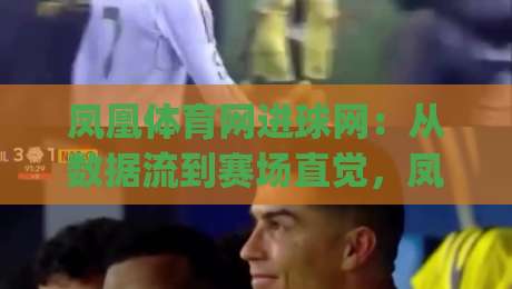 凤凰体育网进球网：从数据流到赛场直觉，凤凰体育网进球网如何重塑你的观赛节奏？|线上十大最稳体球网评级时间推荐直播源不卡顿在线观看