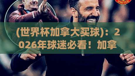 (世界杯加拿大买球)：2026年球迷必看！加拿大合法买球全攻略与实战技巧