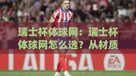 瑞士杯体球网：瑞士杯体球网怎么选？从材质到安装的实战思路(瑞士杯体球网)|最大权威网页下球站指南蓝光低水无需注册观看解说