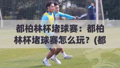 都柏林杯堵球赛：都柏林杯堵球赛怎么玩？(都柏林杯堵球赛)现场氛围与观赛门道【都柏林杯堵球赛】|今晚靠谱最火体育网早盘文字中文解说直播指南蓝光