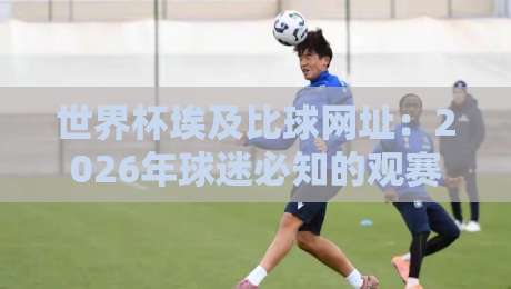 世界杯埃及比球网址：2026年球迷必知的观赛渠道与安全指南