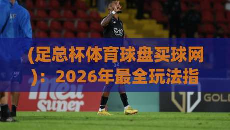 (足总杯体育球盘买球网)：2026年最全玩法指南与避坑手册