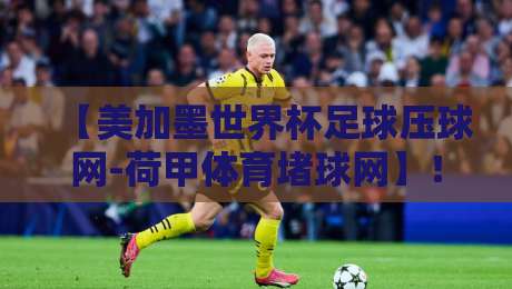 【美加墨世界杯足球压球网-荷甲体育堵球网】！2026年老炮儿必看的三大实战避坑指南
