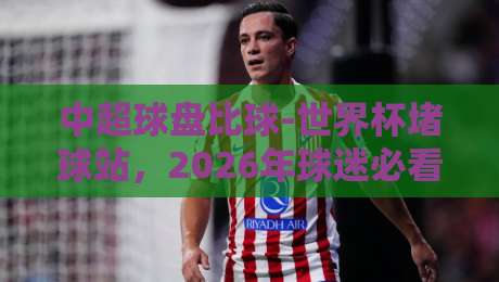 中超球盘比球-世界杯堵球站，2026年球迷必看避坑指南