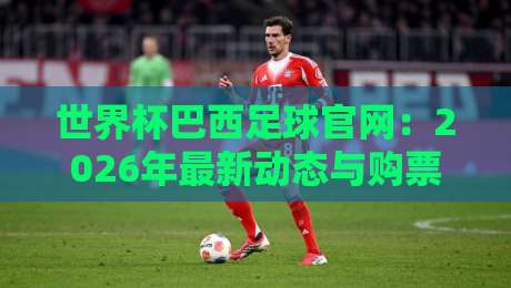 世界杯巴西足球官网：2026年最新动态与购票指南（内含隐藏玩法）