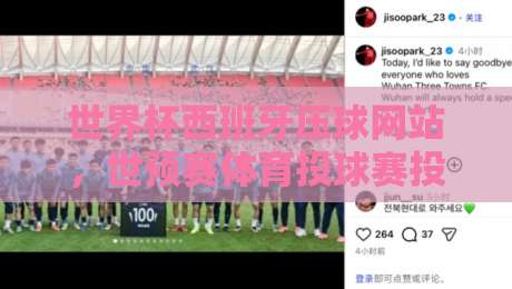 世界杯西班牙压球网站，世预赛体育投球赛投注策略与实战解析