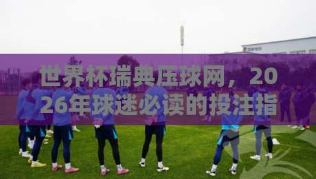世界杯瑞典压球网，2026年球迷必读的投注指南