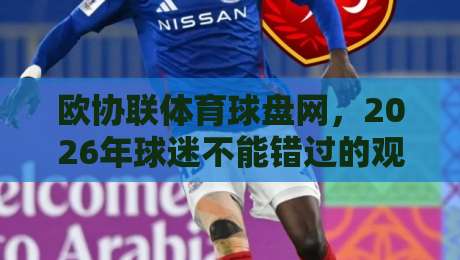 欧协联体育球盘网，2026年球迷不能错过的观赛与投注指南