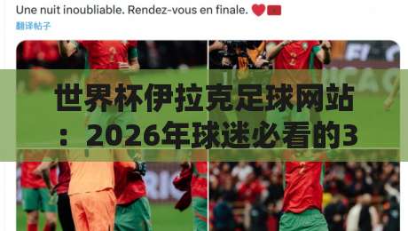 世界杯伊拉克足球网站：2026年球迷必看的3大生存指南（球迷实测）