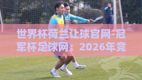 世界杯荷兰让球官网-冠军杯足球网：2026年竞猜指南与深度剖析