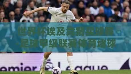 世界杯埃及竞猜买球赛-足球甲级联赛体育堵球：2026年球迷必读的避坑指南