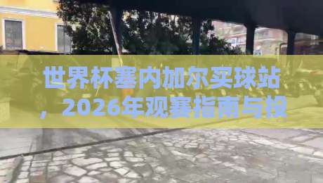 世界杯塞内加尔买球站，2026年观赛指南与投注技巧揭秘